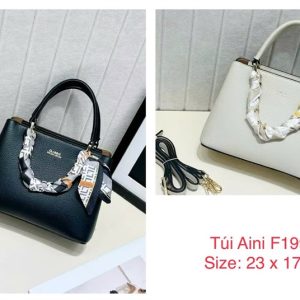 Túi Aini Đen 23cm x 17cm(1990)