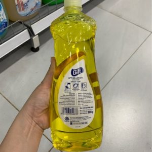 Nước rửa chén Gift 800g tặng mút rửa - chai