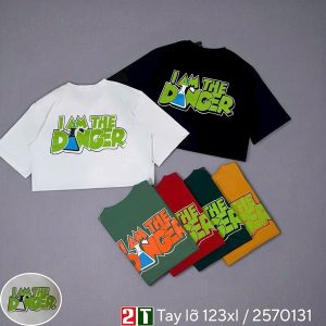 Áo thun nam tay lỡ 1XL -3XL